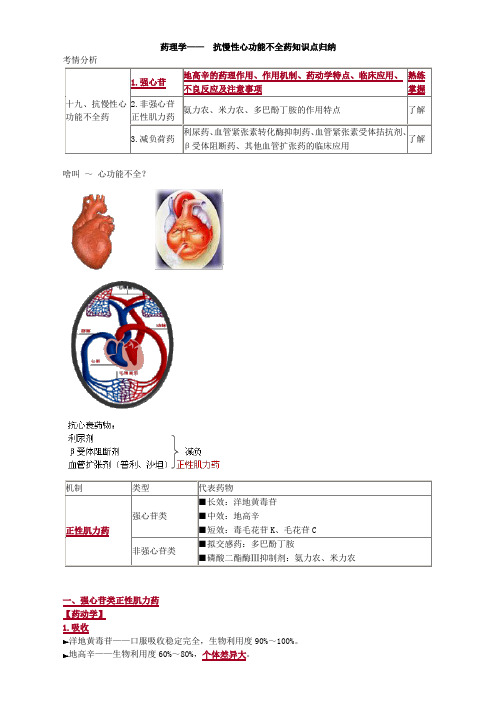 药理学—— 抗心律失常药知识点归纳 (2)