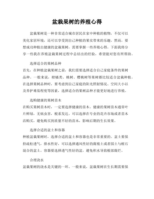 盆栽果树的养殖心得