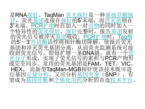taqman探针原理