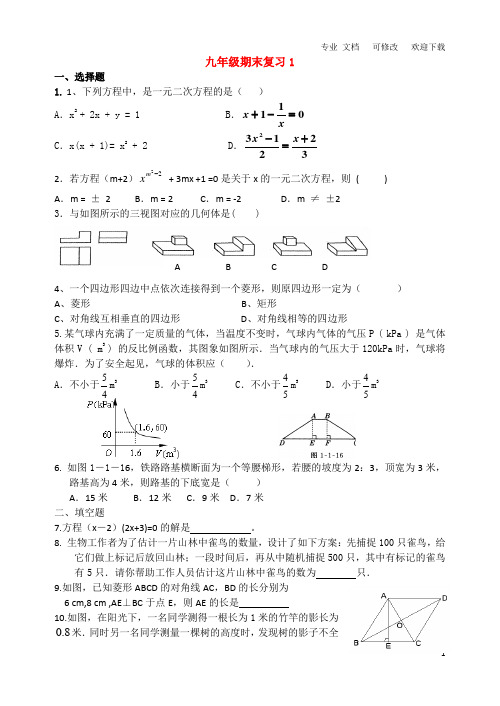 北师大版九年级数学上册九年级期末复习