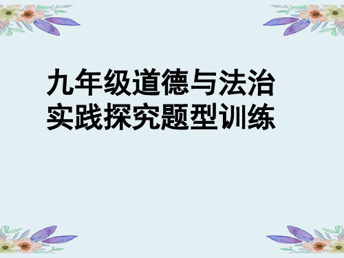 人教版九年级道德与法治实践探究题型训练课件