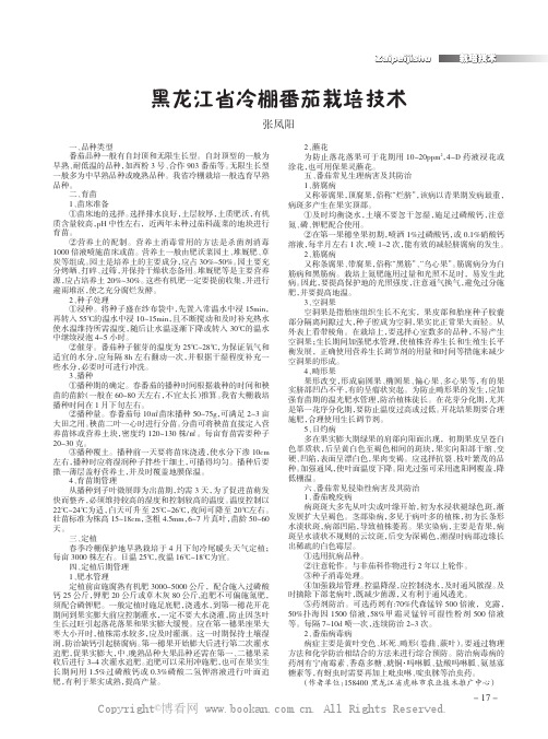 黑龙江省冷棚番茄栽培技术