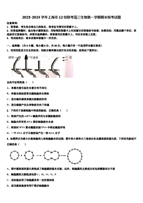 2023-2024学年上海市12校联考高三生物第一学期期末统考试题含解析