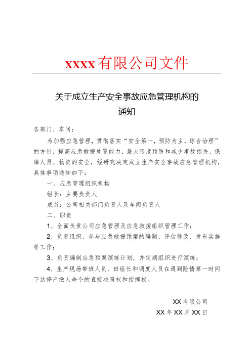 关于成立生产安全事故应急管理组织机构的通知