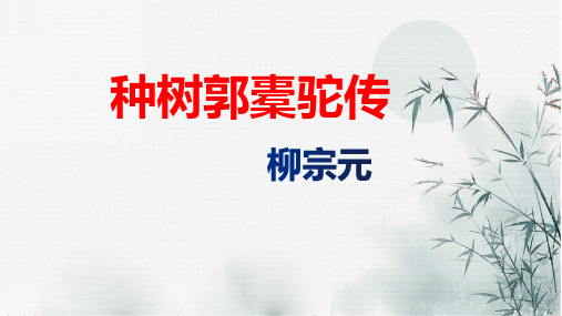 2023高二语文 《种树郭橐驼传》优质公开课课件48张