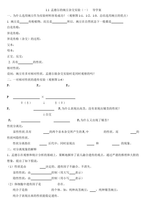 1.1 孟德尔的豌豆杂交实验(一)  导学案