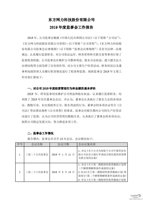 东方网力：2019年度监事会工作报告