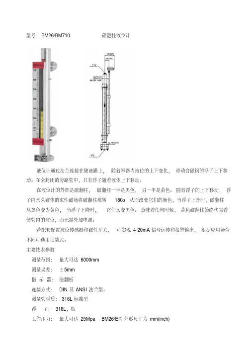 磁翻柱液位计(精)