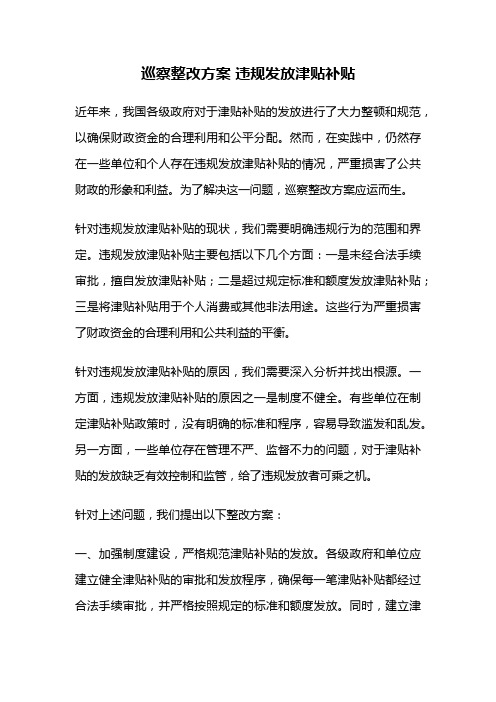 巡察整改方案 违规发放津贴补贴