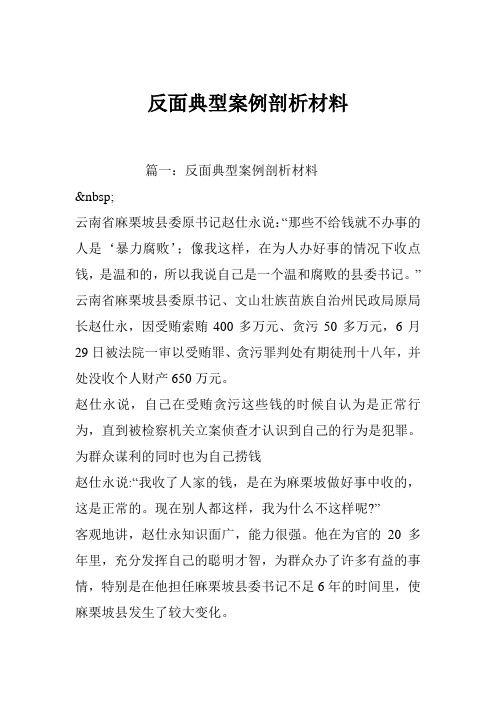 反面典型案例剖析材料