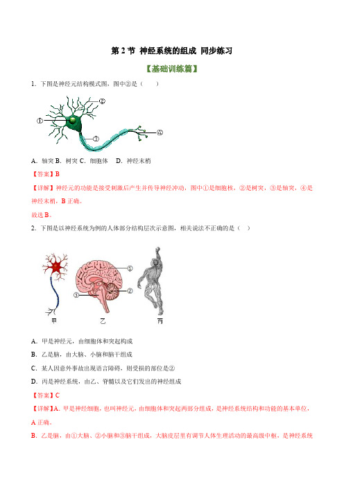 4-6-2 神经系统的组成(分层作业) -七年级生物下册(解析版)