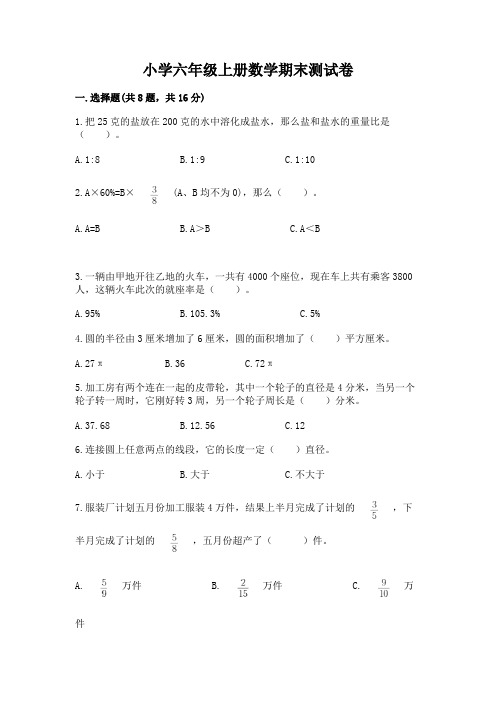 小学六年级上册数学期末测试卷(完整版)