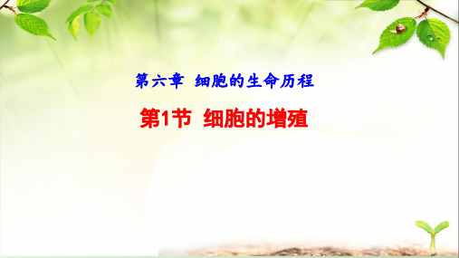 高中生物《第1节 细胞的增殖》课件(共三套)
