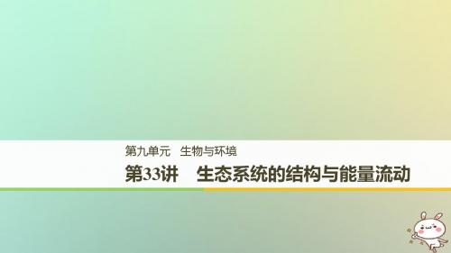 2018高考生物一轮复习第9单元生物与环境第33讲生态系统的结构与能量流动课件2