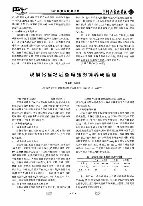 规模化猪场后备母猪的饲养与管理