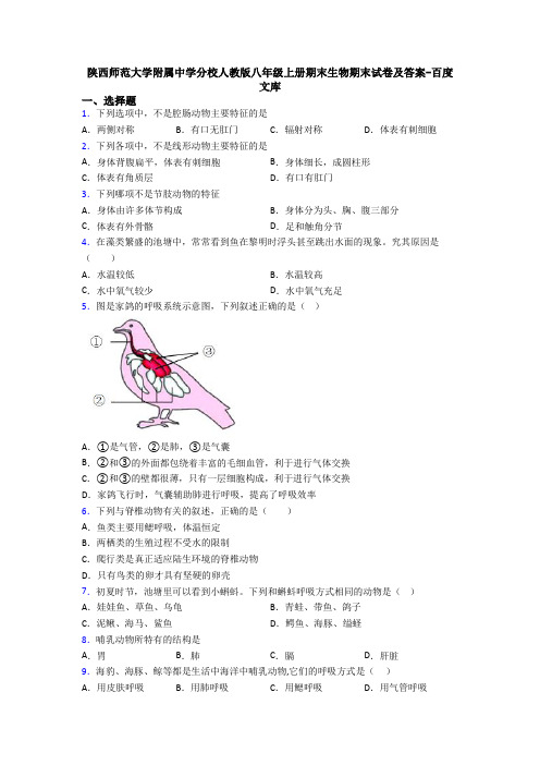 陕西师范大学附属中学分校人教版八年级上册期末生物期末试卷及答案-百度文库