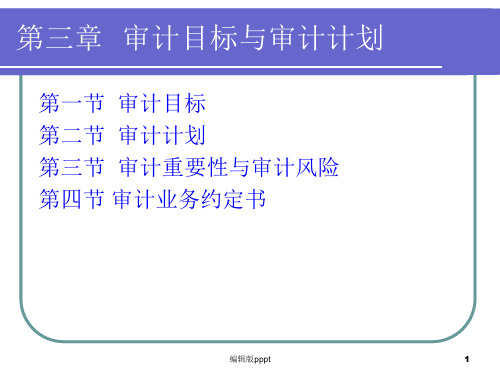 第三章---审计目标与审计计划