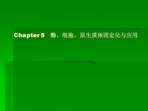 第五章 酶、细胞、原生质体固定化