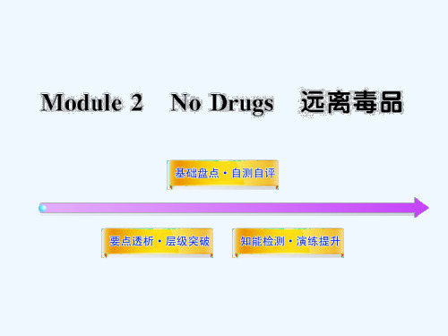 外研版高中英语必修2 Module 2《No Drugs》ppt复习课件