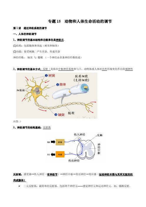 专题15 动物和人体生命活动的调节-2021年高考生物复习知识点梳理与归纳