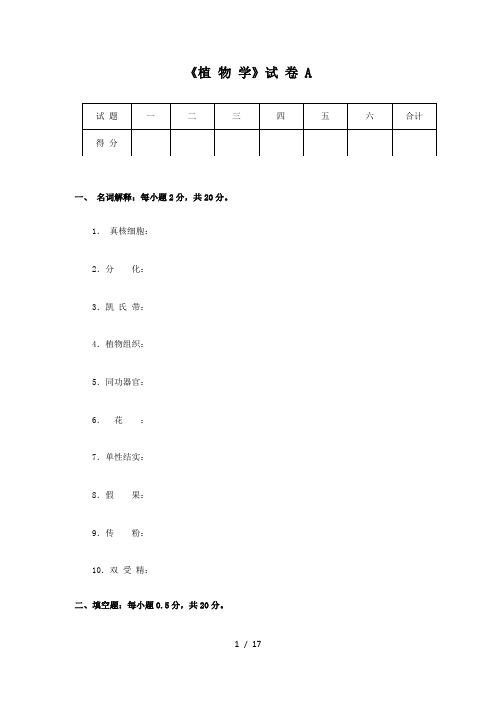 植物学期末备考4