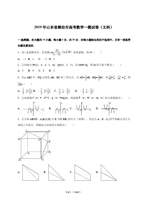 2019年山东省潍坊市高考数学一模文科试卷含答案解析