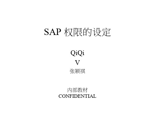 2020年sap 权限的设定参照模板