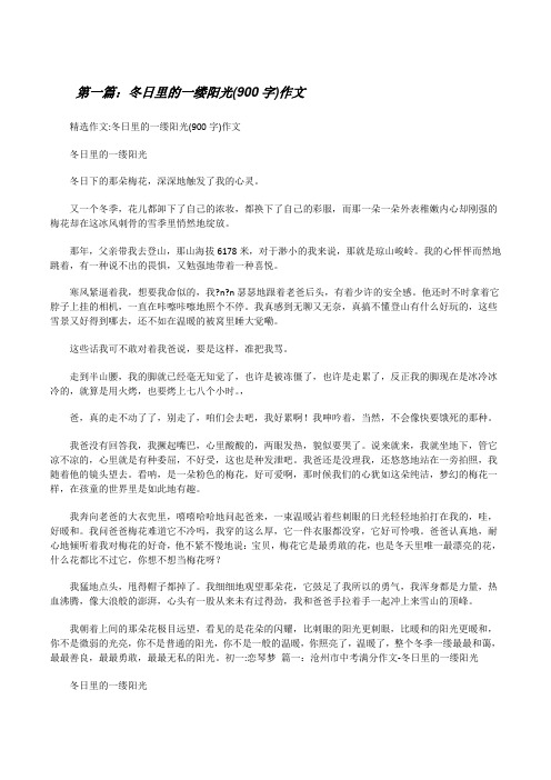 冬日里的一缕阳光(900字)作文[修改版]
