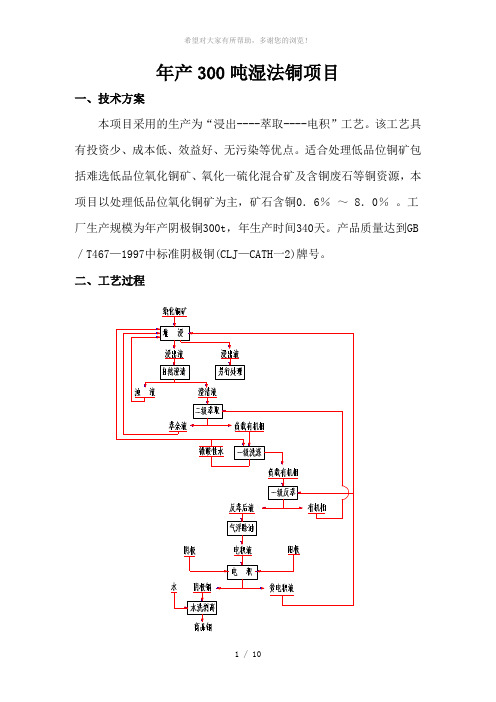 湿法炼铜项目文件