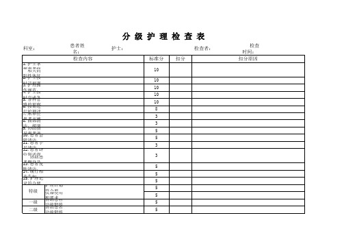 分级护理表格