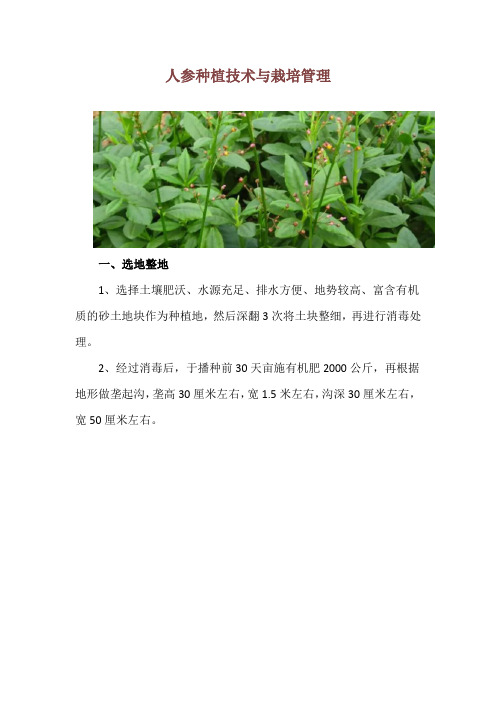 人参种植技术与栽培管理