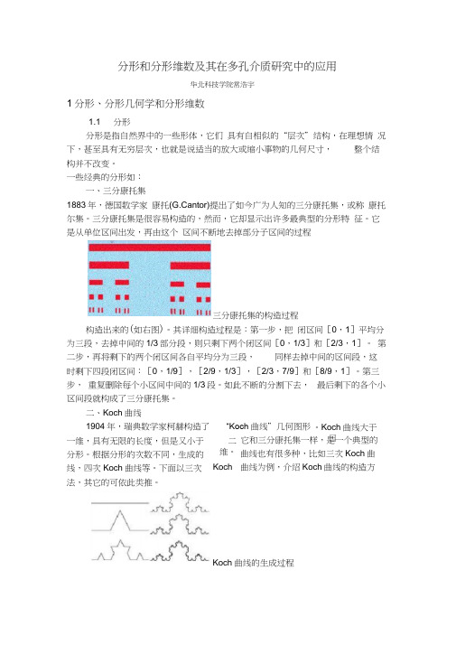 分形和分形维数及其在多孔介质研究中的应用