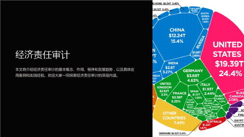 《经济责任审计》课件