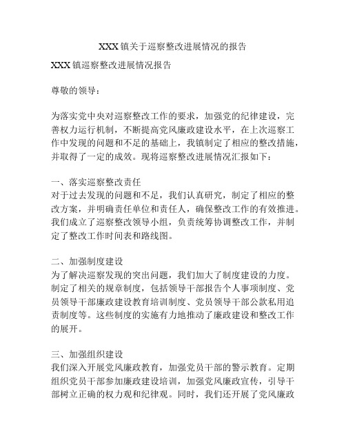 XXX镇关于巡察整改进展情况的报告