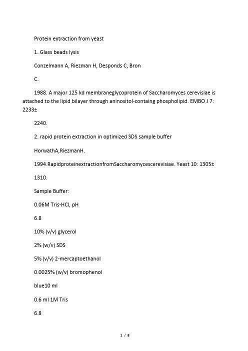 Protein extraction from yeast(酵母蛋白质提取)