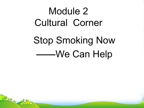 高中英语 Module2 culture corner课件 外研必修2