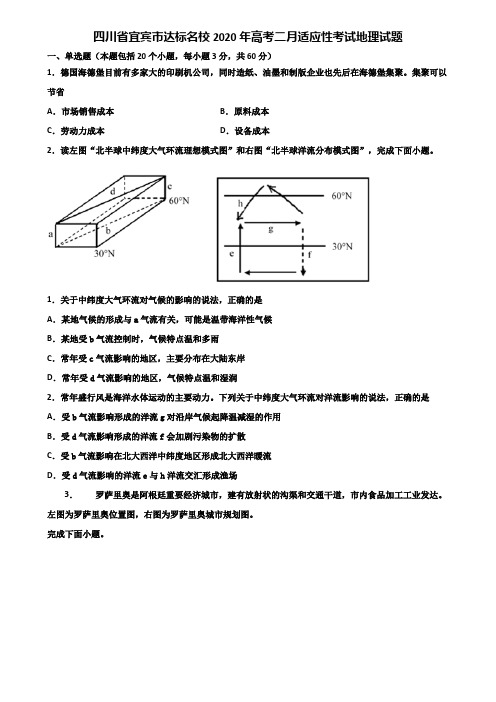 四川省宜宾市达标名校2020年高考二月适应性考试地理试题含解析
