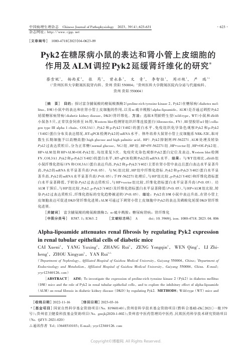 Pyk2在糖尿病小鼠的表达和肾小管上皮细胞的作用及ALM调控Pyk2延缓肾纤维化的研究