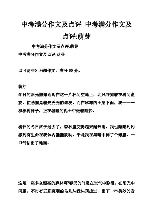 中考满分作文及点评 中考满分作文及点评 萌芽