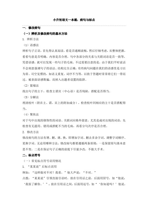 【小升初】2020小升初语文一本通-病句与标点2通用版