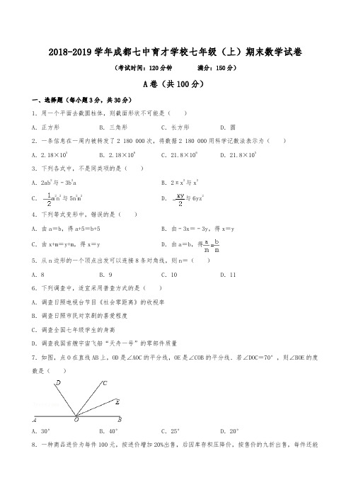 2018-2019学年成都七中育才学校七年级(上)期末数学试卷(含解析)