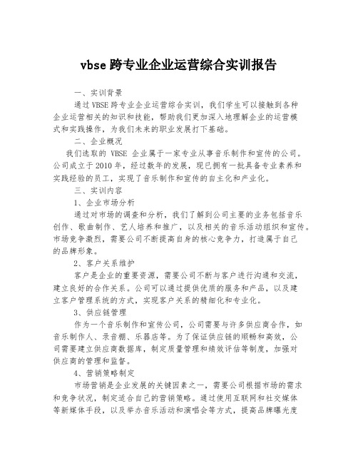 vbse跨专业企业运营综合实训报告