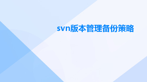 Svn版本管理备份策略