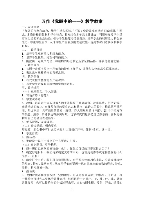 习作《我眼中的——》教学设计