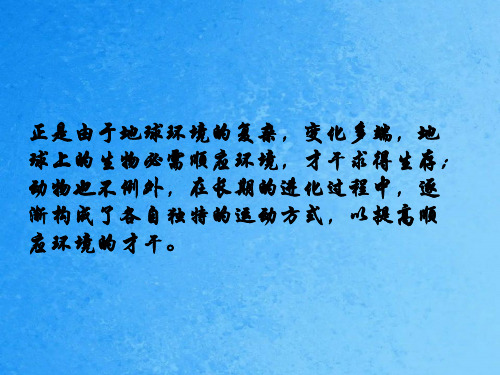 苏教版八年级生物上册：17.1 动物运动的形式和能量供应ppt课件