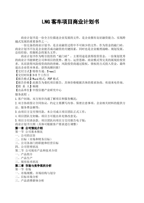 LED项目商业计划书