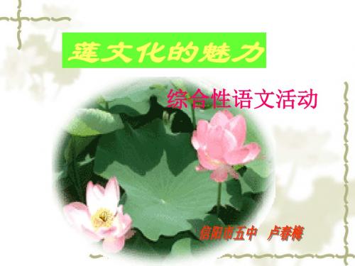 综合性学习《莲文化的魅力》ppt课件(27页)