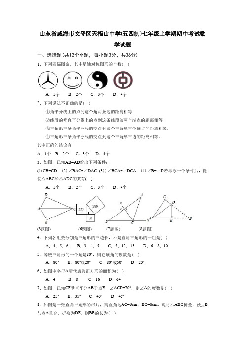 山东省七年级上学期期中考试数学试题有答案