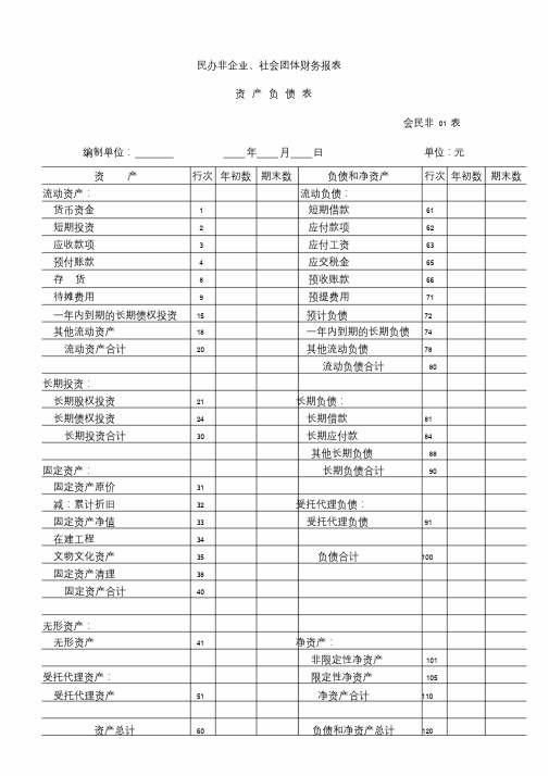 民办非企业单位、社会团体财务报表.doc