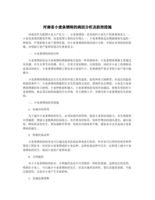 河南省小麦条锈病的病因分析及防控措施